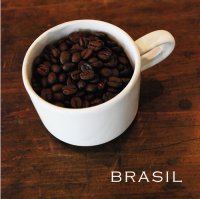 【nest coffee】ブラジル Brasil 100g