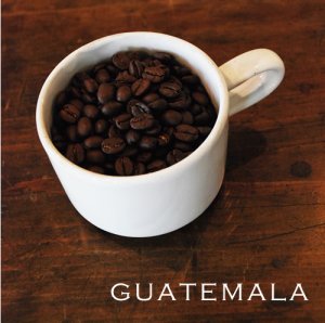 画像1: 【nest coffee】グァテマラ  100g